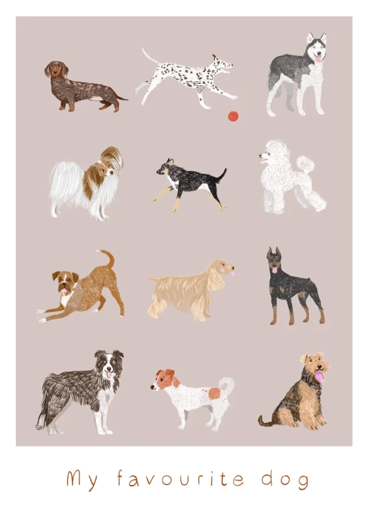 Plakat – My favourite dog I